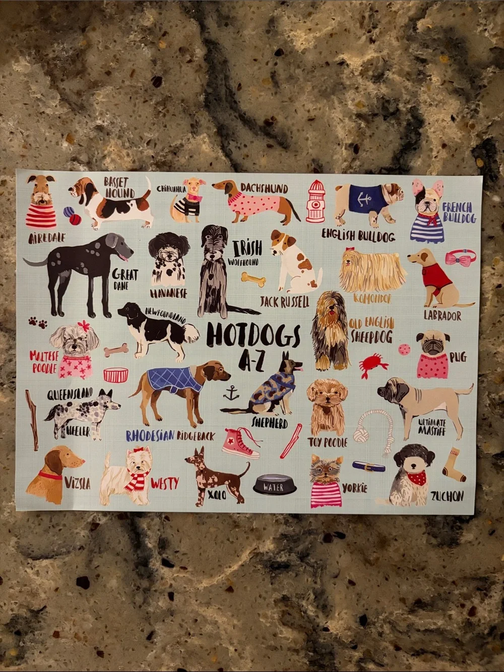 Hotdogs A-Z Dog Breed 1000 Piece Puzzle, by Mudpuppy, Asst Dogs and Colors